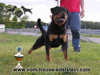 Vice- EJS 2005 Arabella of Black Lion